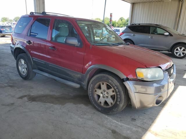 2006 Ford Escape XLT