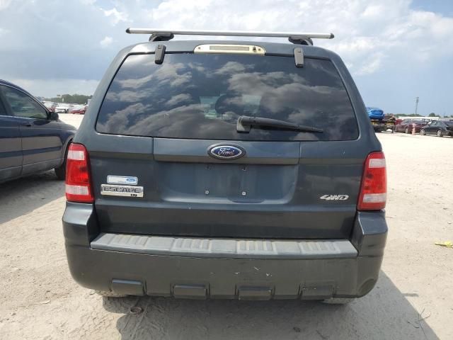 2008 Ford Escape XLT