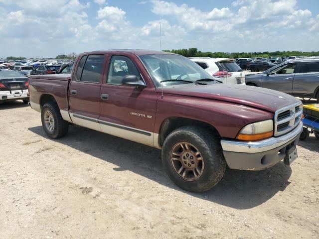 2001 Dodge Dakota Quattro