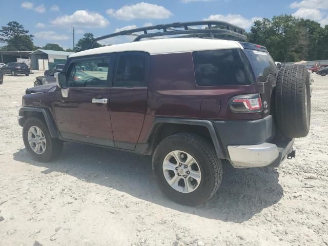 2007 Toyota FJ Cruiser