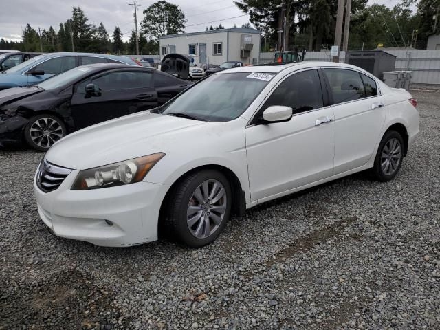 2011 Honda Accord EXL