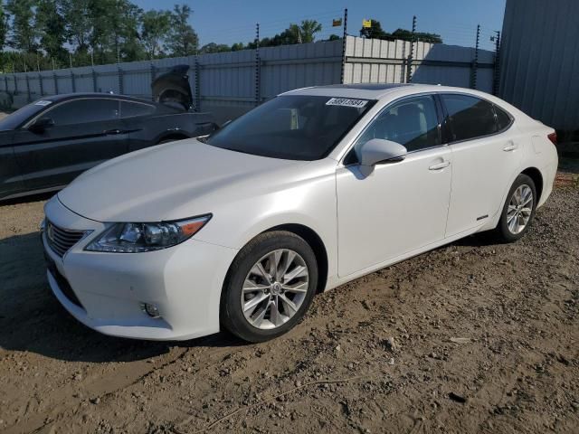 2014 Lexus ES 300H