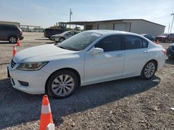 Salvage cars for sale at Temple, TX auction: 2014 Honda Accord EXL