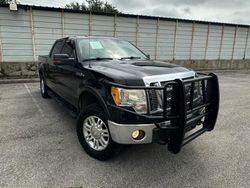 2010 Ford F150 Supercrew en venta en Grand Prairie, TX