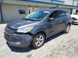 Salvage cars for sale at Earlington, KY auction: 2016 Ford Escape SE