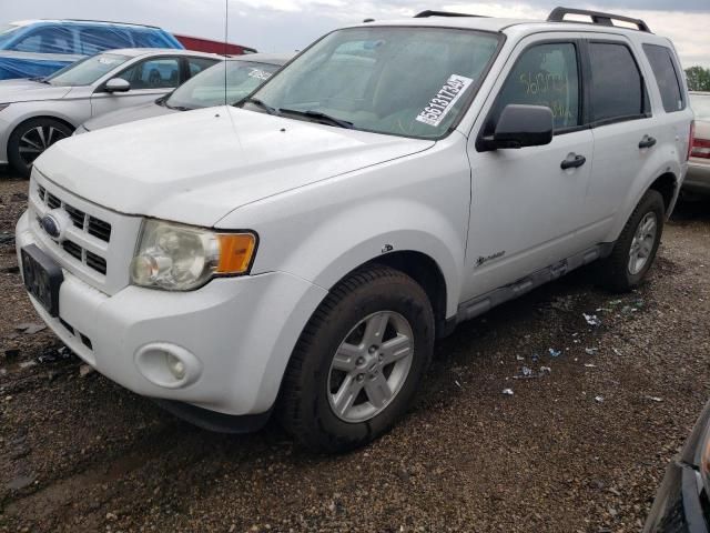 2009 Ford Escape Hybrid