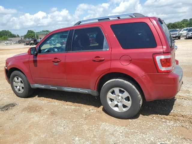 2011 Ford Escape Limited