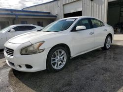 Salvage cars for sale at Fort Pierce, FL auction: 2010 Nissan Maxima S