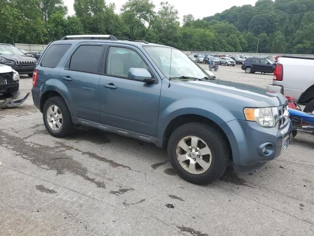 2011 Ford Escape Limited