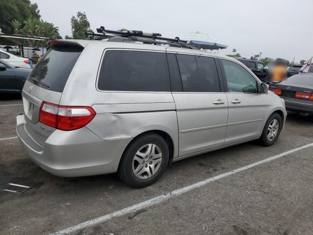 2005 Honda Odyssey EXL