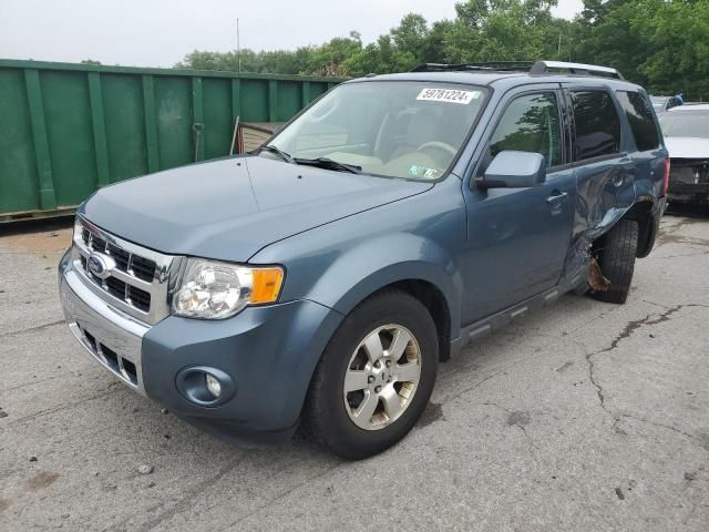 2011 Ford Escape Limited