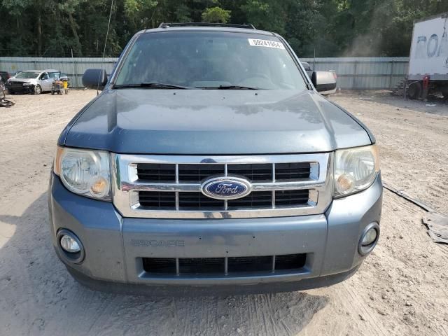 2011 Ford Escape XLT