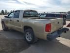 2011 Dodge Dakota SLT