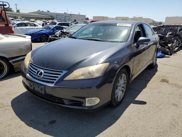 2010 Lexus ES 350