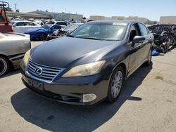 Salvage cars for sale at Martinez, CA auction: 2010 Lexus ES 350