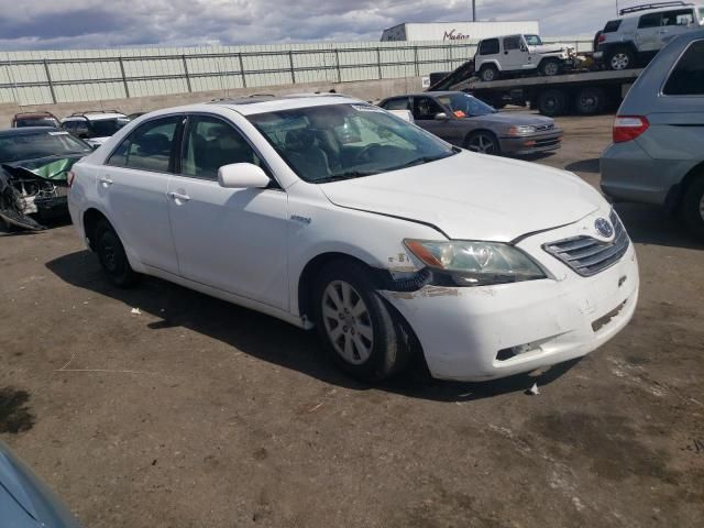 2009 Toyota Camry Hybrid