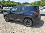 2017 Jeep Renegade Trailhawk