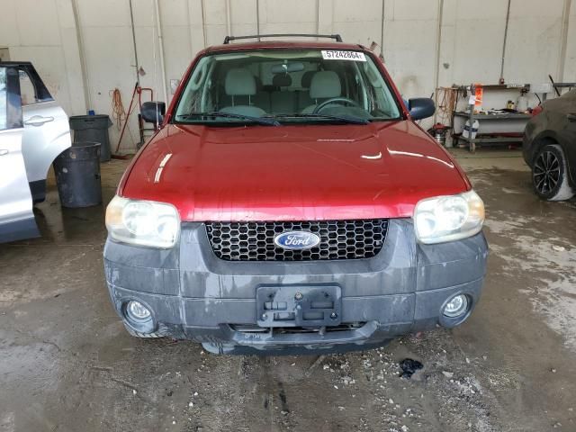 2005 Ford Escape XLT