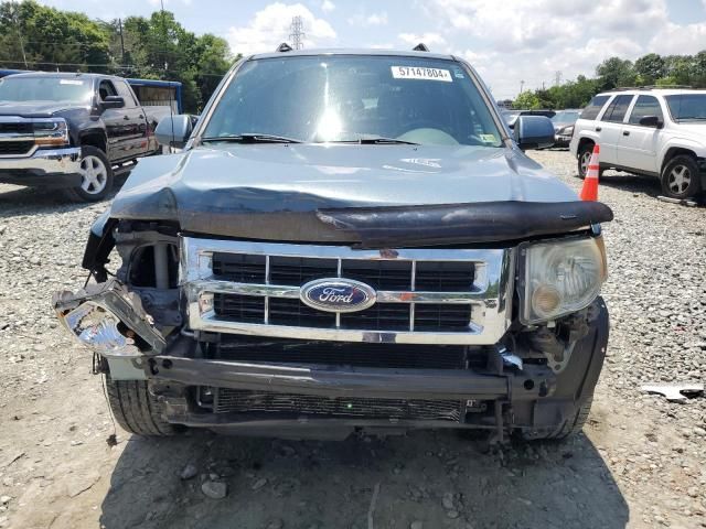 2011 Ford Escape Limited