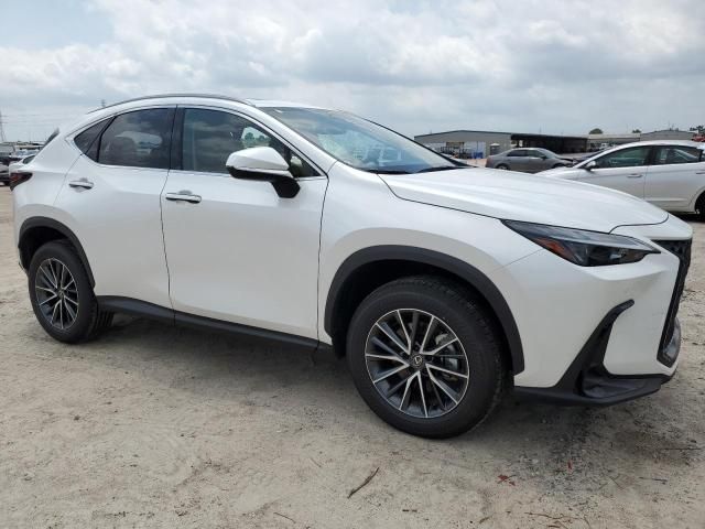 2024 Lexus NX 350H Base