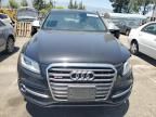 2014 Audi SQ5 Premium Plus