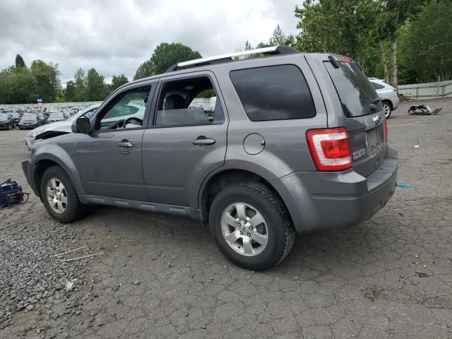 2011 Ford Escape Limited