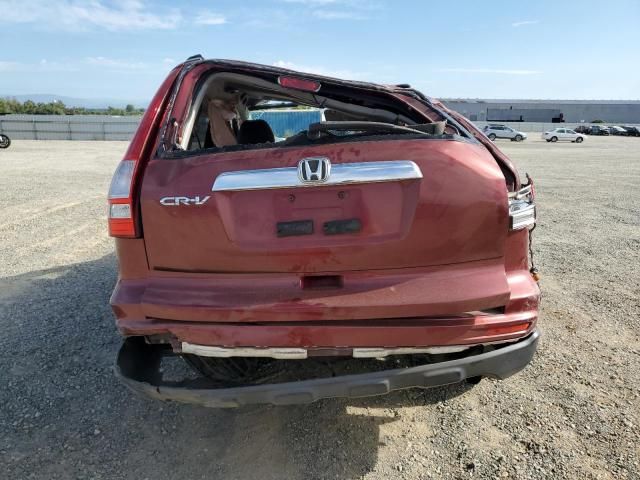 2010 Honda CR-V EX