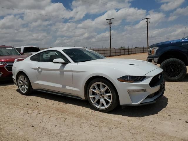 2023 Ford Mustang