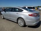 2016 Ford Fusion SE Hybrid