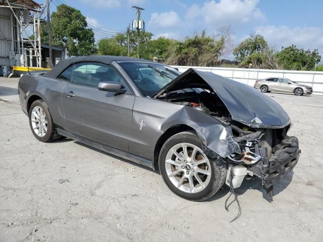 2010 Ford Mustang