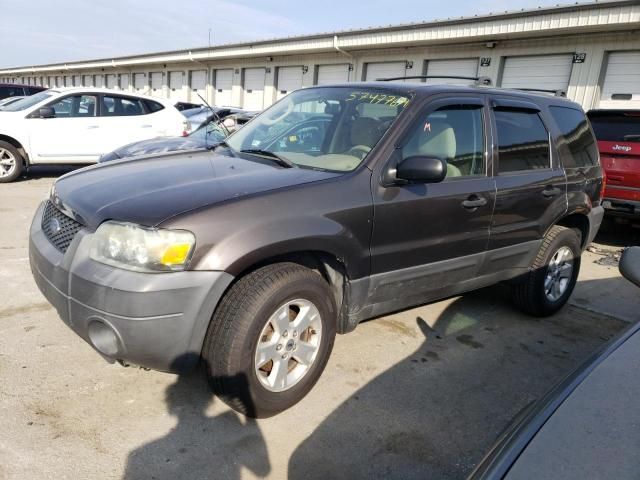 2006 Ford Escape XLT