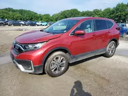 Honda salvage cars for sale: 2021 Honda CR-V EXL