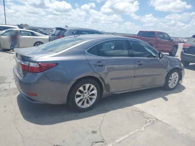 2013 Lexus ES 300H