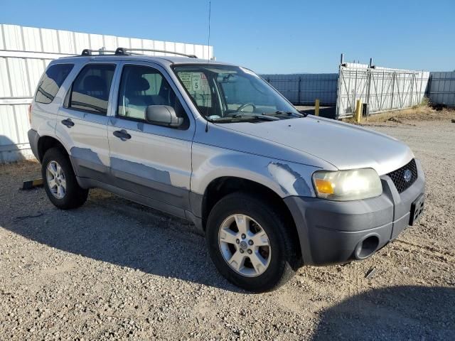 2006 Ford Escape XLT