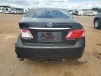 2009 Lexus ES 350