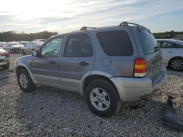 2007 Ford Escape XLT