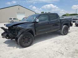 Salvage cars for sale at Lawrenceburg, KY auction: 2019 Toyota Tacoma Double Cab