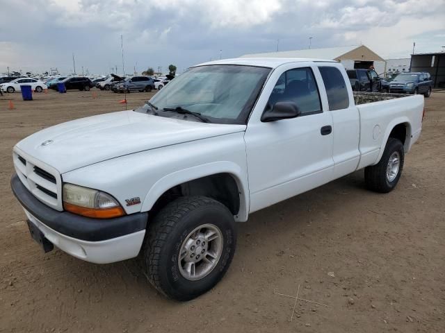 1999 Dodge Dakota