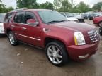 2011 Cadillac Escalade Premium