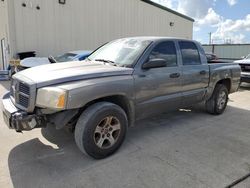 Salvage cars for sale from Copart Haslet, TX: 2006 Dodge Dakota Quad SLT