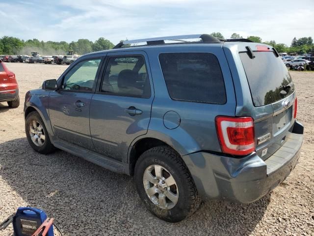 2011 Ford Escape Limited