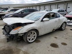 Nissan salvage cars for sale: 2008 Nissan Altima 3.5SE