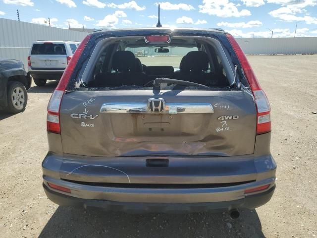 2010 Honda CR-V EX