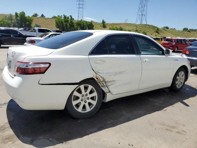 2009 Toyota Camry Hybrid