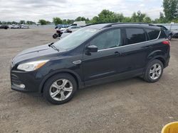 2015 Ford Escape SE en venta en London, ON