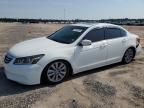 2011 Honda Accord EX