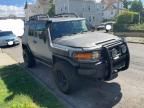 2007 Toyota FJ Cruiser