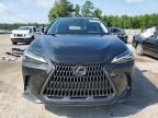 2024 Lexus NX 250 Base