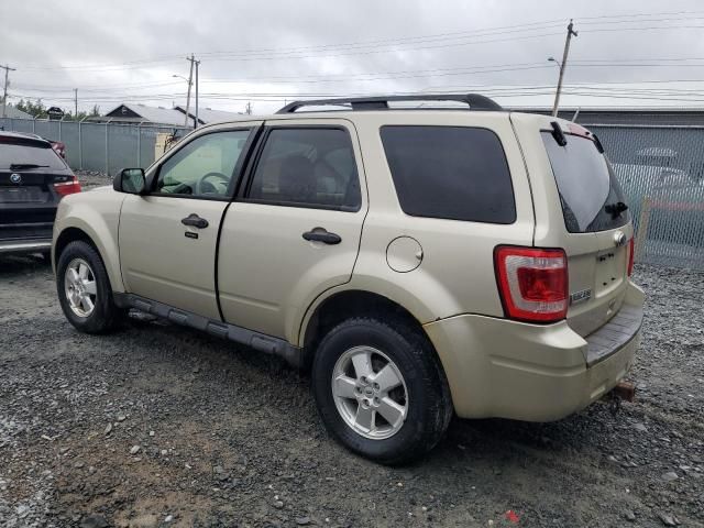 2011 Ford Escape XLT