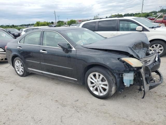 2010 Lexus ES 350